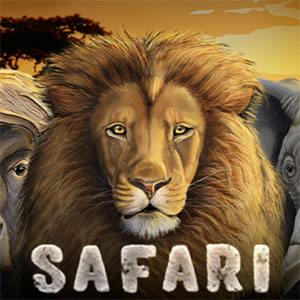 Safari